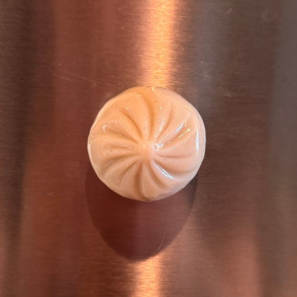 PREORDER Dumpling Magnets