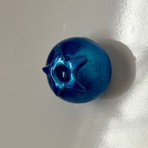 Blueberry Magnet PREORDER