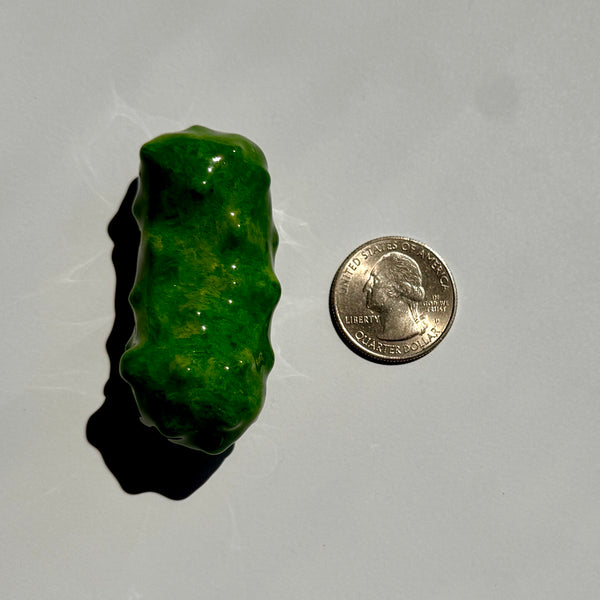 PREORDER Pickle Magnets