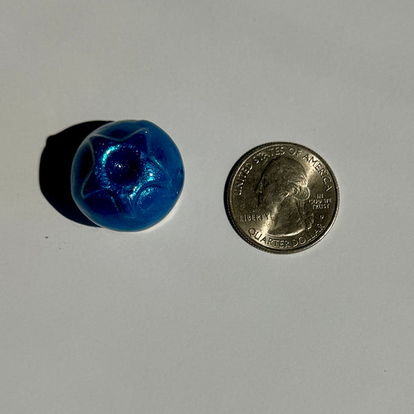 PREORDER Blueberry Magnet