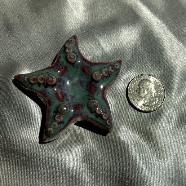 PREORDER Starfish Worrystone