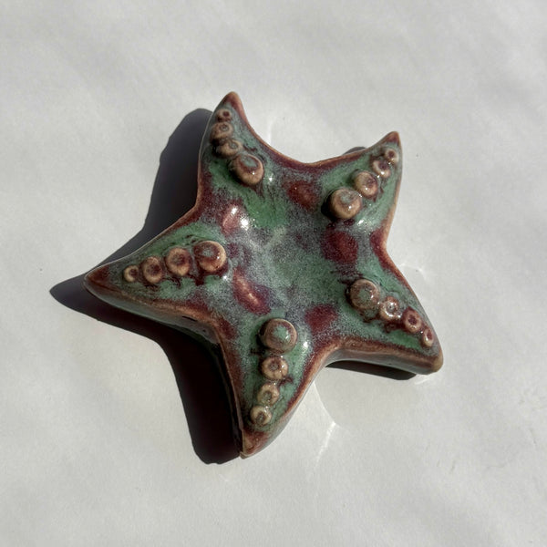 PREORDER Starfish Worrystone